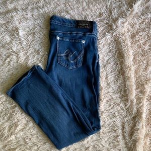 Express Flare Jeans